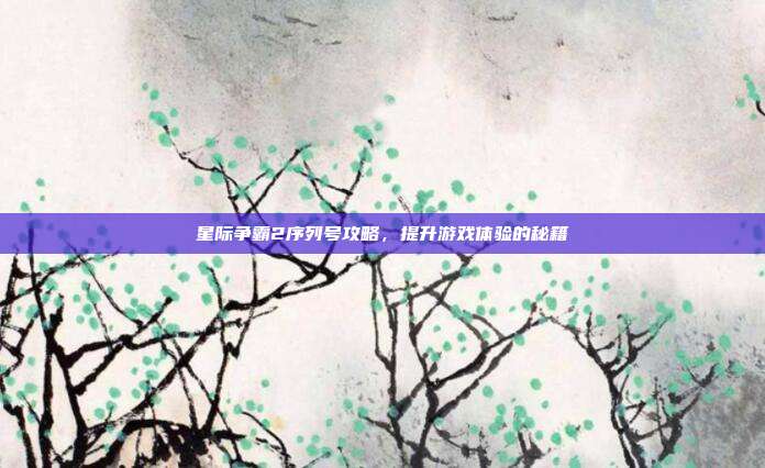 星际争霸2序列号攻略,提升游戏体验的秘籍