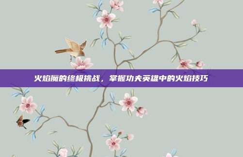 火焰魔的终极挑战,掌握功夫英雄中的火焰技巧