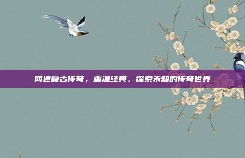 网通复古传奇,重温经典,探索未知的传奇世界