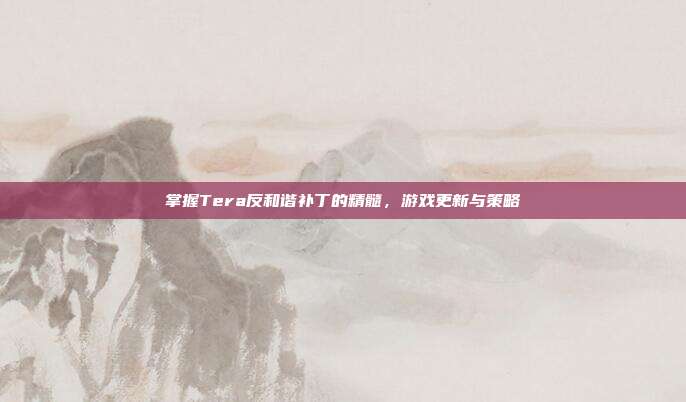 掌握Tera反和谐补丁的精髓,游戏更新与策略