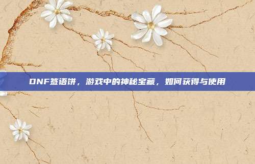 DNF签语饼,游戏中的神秘宝藏,如何获得与使用