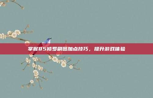 掌握85修罗刷图加点技巧,提升游戏体验