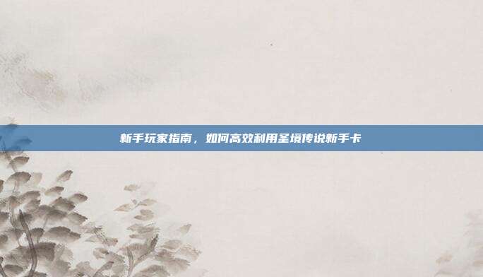 新手玩家指南，如何高效利用圣境传说新手卡