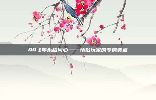 QQ飞车永结同心——情侣玩家的专属赛道