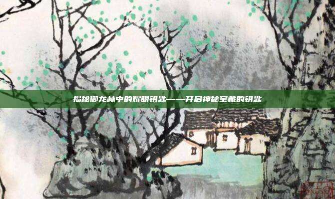 揭秘御龙林中的耀眼钥匙——开启神秘宝藏的钥匙