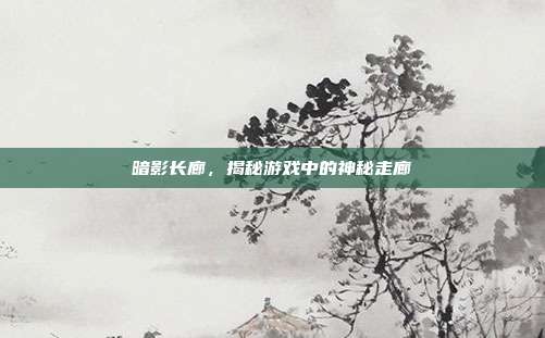 暗影长廊，揭秘游戏中的神秘走廊