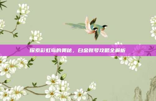 探索彩虹岛的奥秘,白金账号攻略全解析