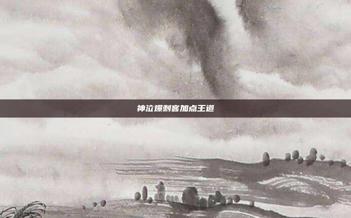 神泣爆刺客加点王道