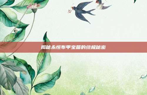 揭秘永恒布甲宝箱的终极秘密