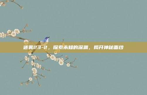 迷雾23-2,探索未知的深渊,揭开神秘面纱