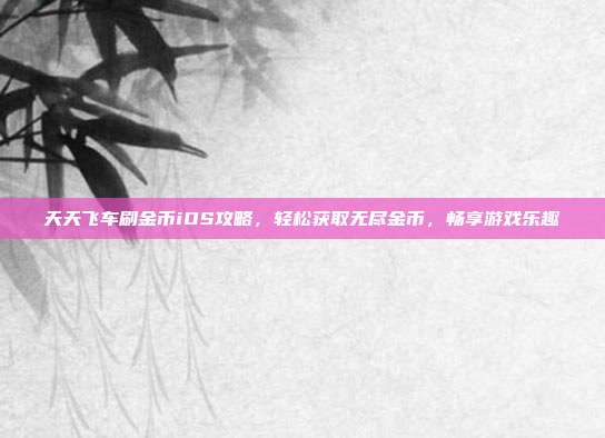 天天飞车刷金币iOS攻略,轻松获取无尽金币,畅享游戏乐趣