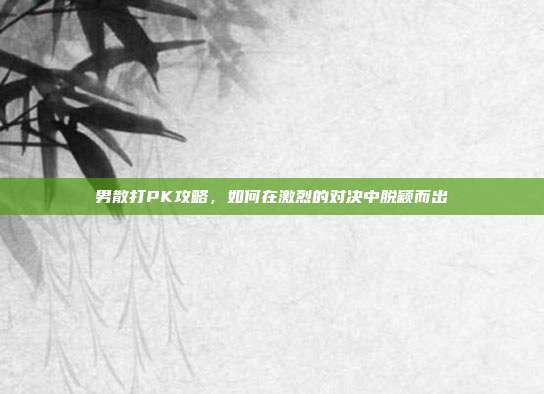 男散打PK攻略,如何在激烈的对决中脱颖而出