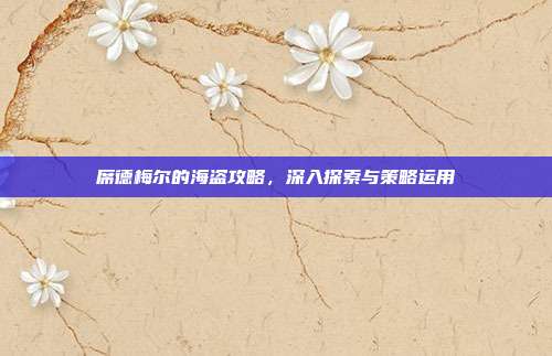 席德梅尔的海盗攻略,深入探索与策略运用