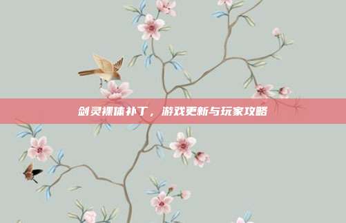 剑灵裸体补丁,游戏更新与玩家攻略