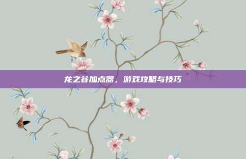 龙之谷加点器,游戏攻略与技巧