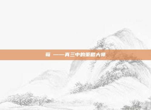 荀彧——真三中的策略大师