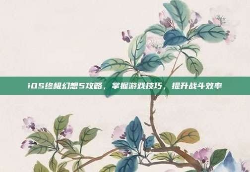 iOS终极幻想5攻略,掌握游戏技巧,提升战斗效率
