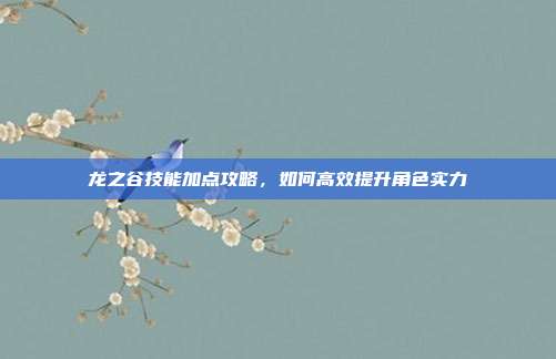 龙之谷技能加点攻略,如何高效提升角色实力