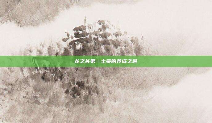 龙之谷第一土豪的养成之道