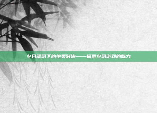 冬日暖阳下的绝美对决——探索冬阳游戏的魅力