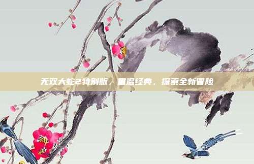 无双大蛇2特别版,重温经典,探索全新冒险