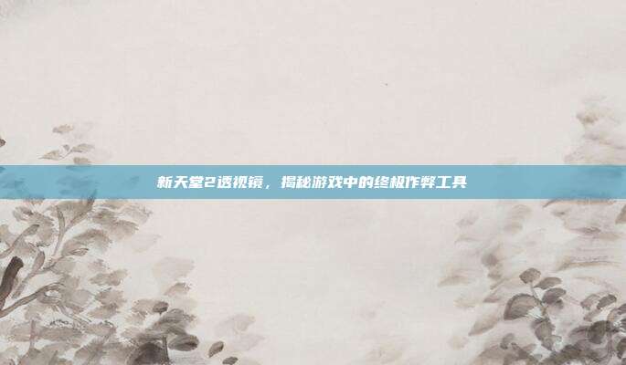 新天堂2透视镜,揭秘游戏中的终极作弊工具