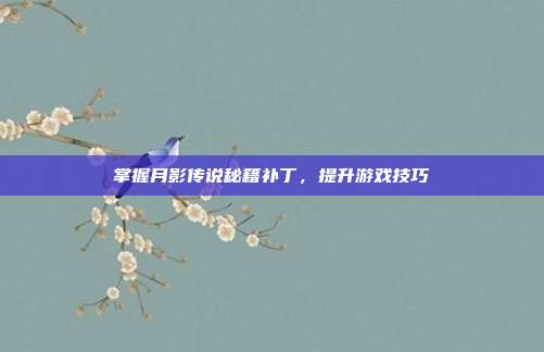 掌握月影传说秘籍补丁，提升游戏技巧