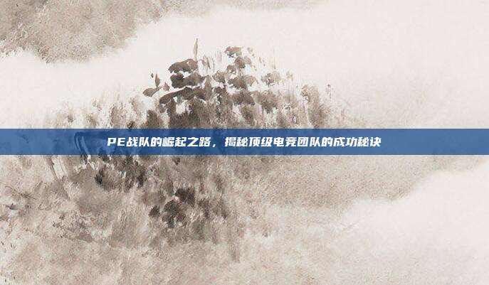 PE战队的崛起之路,揭秘顶级电竞团队的成功秘诀