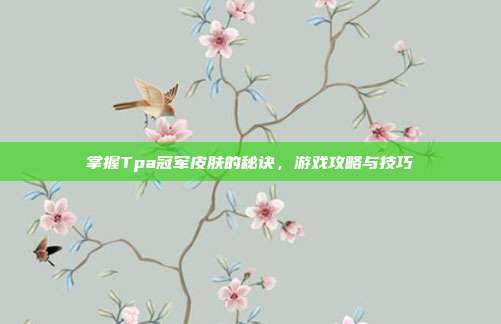 掌握Tpa冠军皮肤的秘诀,游戏攻略与技巧
