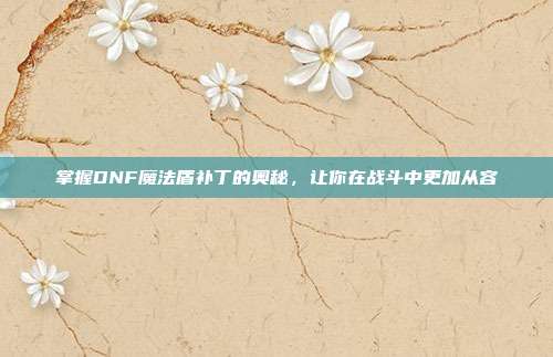 掌握DNF魔法盾补丁的奥秘,让你在战斗中更加从容