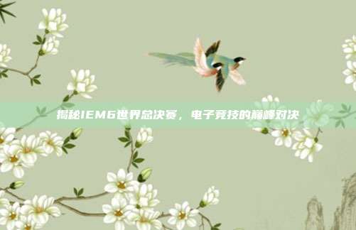 揭秘IEM6世界总决赛,电子竞技的巅峰对决