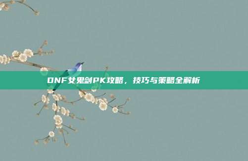 DNF女鬼剑PK攻略,技巧与策略全解析