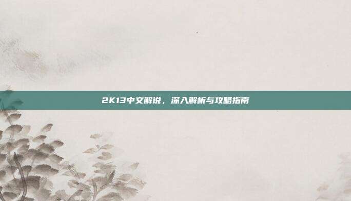 2K13中文解说,深入解析与攻略指南