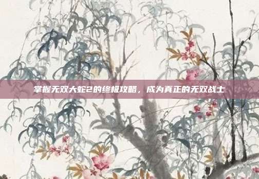 掌握无双大蛇2的终极攻略,成为真正的无双战士