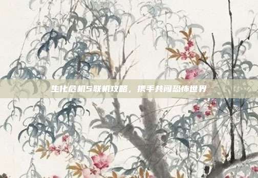 生化危机5联机攻略,携手共闯恐怖世界
