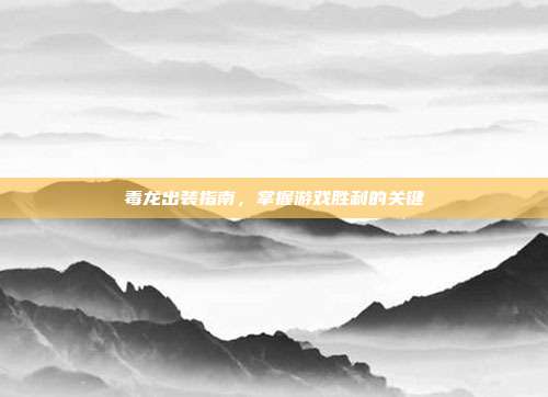 毒龙出装指南,掌握游戏胜利的关键