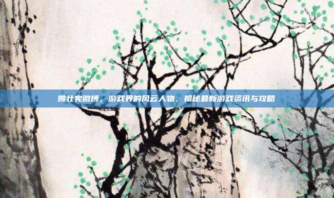 姚壮宪微博,游戏界的风云人物,揭秘最新游戏资讯与攻略