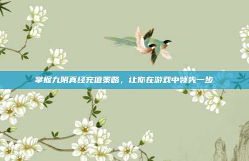 掌握九阴真经充值策略,让你在游戏中领先一步