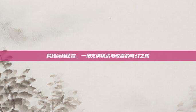 揭秘魔林迷踪,一场充满挑战与惊喜的奇幻之旅