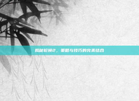 揭秘轮换2，策略与技巧的完美结合