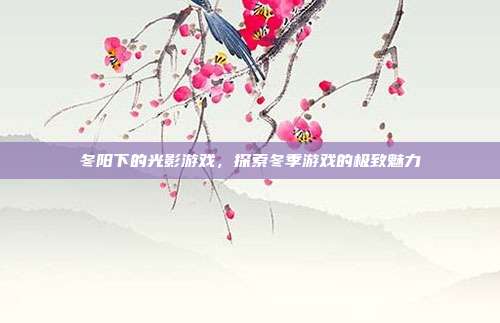 冬阳下的光影游戏,探索冬季游戏的极致魅力