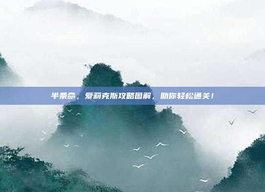 半条命,爱莉克斯攻略图解,助你轻松通关!