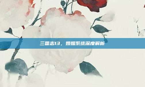 三国志13,婚姻系统深度解析