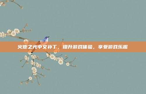 火炬之光中文补丁,提升游戏体验,享受游戏乐趣