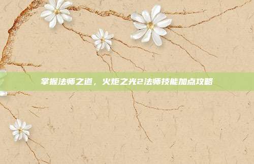 掌握法师之道,火炬之光2法师技能加点攻略