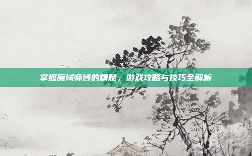 掌握魔域师傅的精髓,游戏攻略与技巧全解析