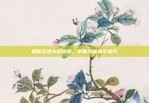 揭秘无双大蛇秘籍,掌握终极战斗技巧