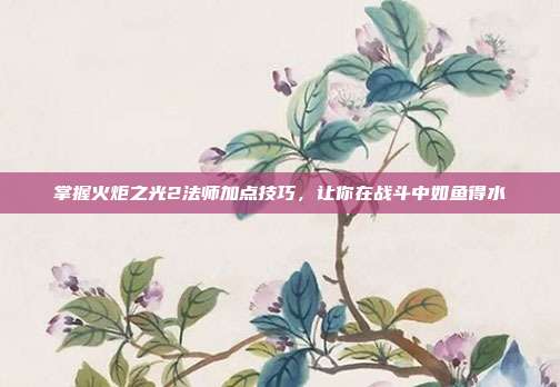 掌握火炬之光2法师加点技巧,让你在战斗中如鱼得水