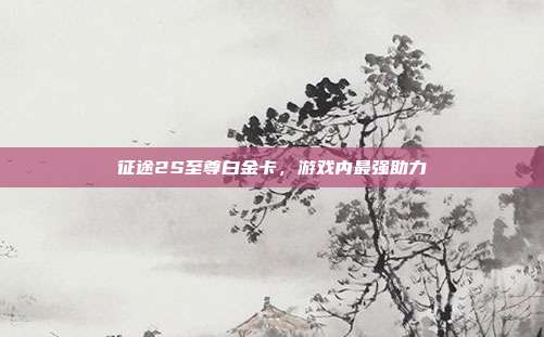征途2S至尊白金卡,游戏内最强助力