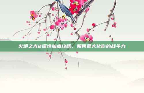 火炬之光2属性加点攻略,如何最大化你的战斗力